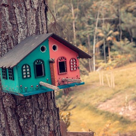 Pousada Casarao Gastehaus بوميرودي المظهر الخارجي الصورة